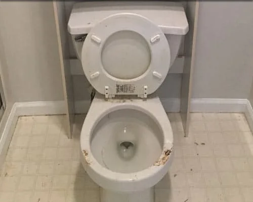 Toilet bowl before cleaning