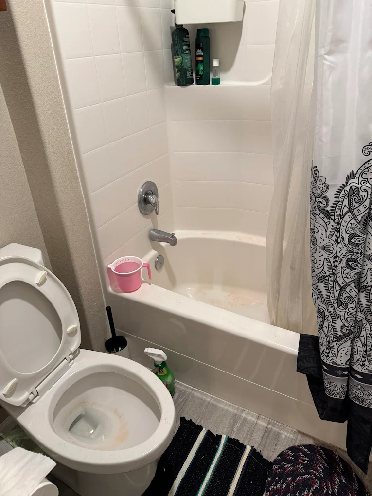 Recurring Cleaning